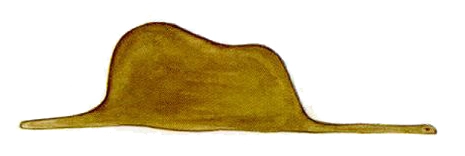 drawing of a hat, which is actually a boa consuming an elephant